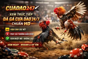 Tổng Quan Chi Tiết Về Đá Gà Trực Tiếp Ecchi – Xu Hướng Giải Trí Đỉnh Cao 2026